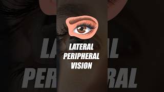 Lateral Peripheral Vision shorts shipramaam [upl. by Caleb]