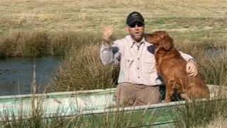 Dog Training Basics with Chris Akin [upl. by Georgi]