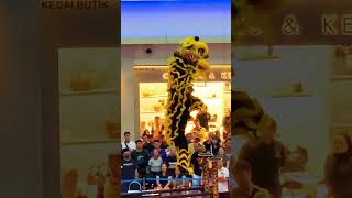 Acrobatic Lion Dance [upl. by Loux]