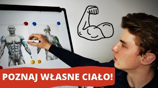 ANATOMIA CZŁOWIEKA  NAJWAŻNIEJSZE MIĘŚNIE [upl. by Armington]