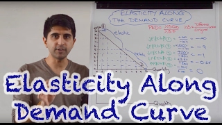 Y1 42 Elasticity Along The Demand Curve [upl. by Ebbie14]