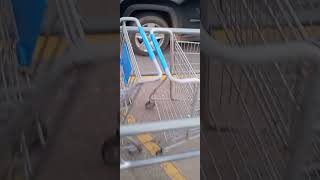 working at Walmart as a cart Pusher be like [upl. by Asila]