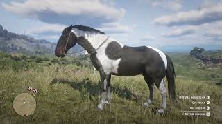 Mestizo Húngaro Tobiano Piebald RDR2 Capítulo 2 [upl. by Haskel]