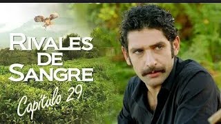 RIVALES DE SANGRE CAPITULO 29 COMPLETO [upl. by Eilloh]