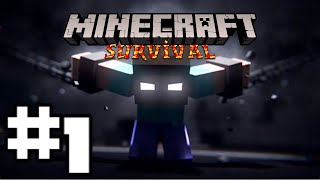 Minecraft survivial 1 [upl. by Akirej]