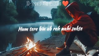 Hum tere bin ab reh nahi sakte song🎶 Slowed and Reverbed❤️Lofi mix song🎷8d audio song🥰Aashiqui 2 [upl. by Aeriell200]