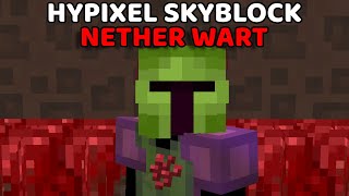 Best Nether Wart Farm On Hypixel Skyblock [upl. by Hilaire]