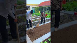 Taking care of the vegetable garden every day is busy and fulfilling mysmallvegetablegarden [upl. by Ondrea862]