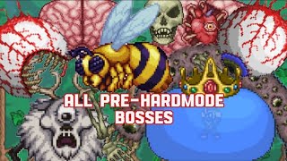 Terraria All PreHardmode Bosses [upl. by Raimondo]