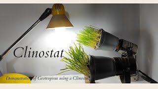 Clinostat [upl. by Haroppiz679]