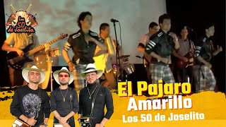 Los 50 Joselito  El Pájaro Amarillo AUDIO HD [upl. by Airekal]