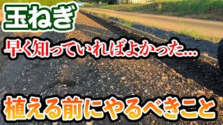 【玉ねぎ】植える前にコレ絶対やってください。めちゃくちゃ楽になります [upl. by Aikram]