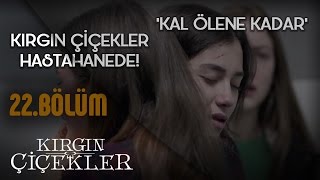 Kırgın Çiçekler 22Bölüm  Kal Ölene Kadar  Tuna Velibaşoğlu  Klip [upl. by Itin270]