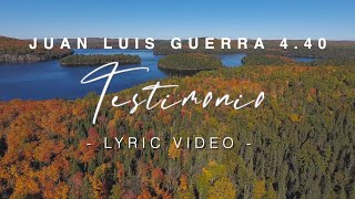 Juan Luis Guerra 440  Testimonio Lyric Video [upl. by Lorimer]