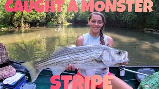 Back on the River after Ammonia Spill… stripedbassfishing bass fishing [upl. by Nallek694]