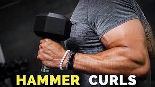 How To Do Hammer Curls for HUGE Biceps BICEP GROWTH [upl. by Wini674]