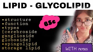 glycolipid  classification structure function  cerebroside globoside ganglioside  bsc [upl. by Eded504]