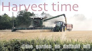 Harvest time in the English Countryside…and repotting and seedsowing in the garden [upl. by Nirtiak]