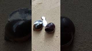 Casting Melting Aluminum into Shell Restoration shorts viralvideo reels [upl. by Milli]