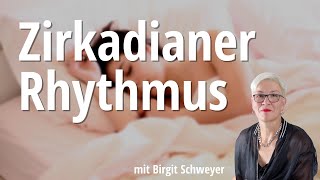 Innere Uhr und Zirkadianer Rhythmus mit Birgit Schweyer  Satte Sache Podcast [upl. by Yarised873]