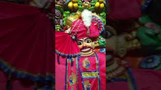 Salangpur Hanumanji bajrangbalistatusShangar Darshan [upl. by Marquita153]