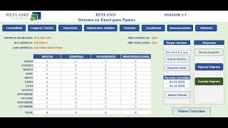 Presentacion Sistema Contable en Excel Reyland [upl. by Nosemyaj]