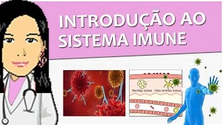 Imunologia 01  Introdução ao Sistema Imune imunidade passiva ativa inata adquirida  Vídeo aula [upl. by Nyletak]