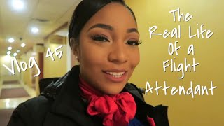 The quotReal Lifequot of a Flight Attendant  Vlog 45  AWESOME CREW [upl. by Valerye]