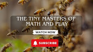 Bees The Tiny Masters of Math and Play [upl. by Are]