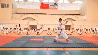 Nipaipo kata karate shito ryu  by Lê TRọng Cường karate cuongdelta video [upl. by Hirai29]