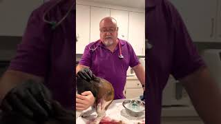 Huge cyst on dog [upl. by Billi915]