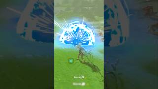 This Was Complete Skill Sarcasm zelda letsplaybreathofthewild videogame gaming funny [upl. by Der948]