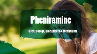 pheniramine  Uses Dosage Side Effects amp Mechanism  Avil [upl. by Detta]