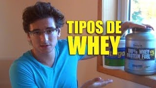 WHEY PROTEIN Concentrado Isolado e Hidrolisado [upl. by Avehstab]