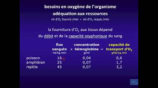 1  Physiologie cardio vasculaire partie 1 [upl. by Tyrus]