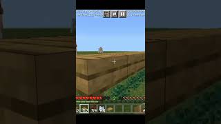 How to make sweet berries farm in Minecraft [upl. by Htebzil]