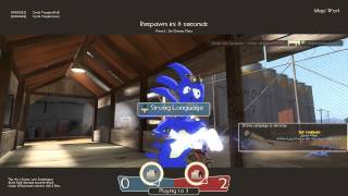 SANIC THE HEGHOG TF2 SCOUT PLAYERMODEL [upl. by Terrance]