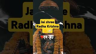 Chhin le sabhka ye man sakhi re mero Radha raman 🙏🙏🙏 shorts [upl. by Ottillia]