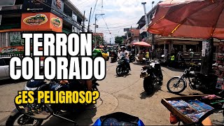 Barrio TERRON COLORADO Cali 🇨🇴 quotuno de los MAS PELIGROSOSquot [upl. by Denys]