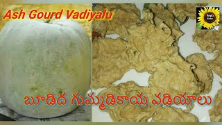 బూడిద గుమ్మడి వడియాలు l Budidha Gummadikaya Vadiyalu l Ash Gourd Vadiyalu Preparation in Telugu [upl. by Ellenohs]