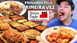 PROVAMOS PELA PRIMEIRA VEZ AS COMIDAS DO DIVINO FOGÃO  Vale a pena [upl. by Llehctim410]