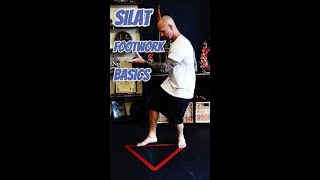 SILAT Footwork Must Knows For Beginners [upl. by Holmen]