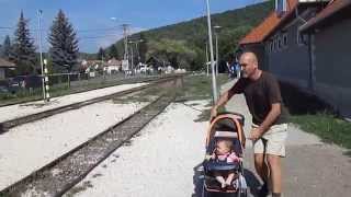 Kismaros Börzsöny Kisvasut Hungary September 2015  Narrow gauge train  Kisvasút [upl. by Alphonsine]