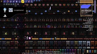 Terraria Platinum trophy [upl. by Nigam]