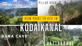 Places to cover in just 2 hour in Kodaikanal  Covered total 7 Major view points [upl. by Nurav560]