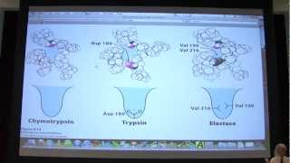 12 Biochemistry Catalytic Mechanisms I Lecture for Kevin Aherns BB 450550 [upl. by Allekram]