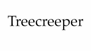 How to Pronounce Treecreeper [upl. by Leind836]