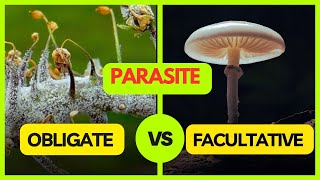 Obligate Parasite  Facultative Parasite  Facultative Saprophyte  Plant Pathology [upl. by Endora794]