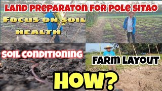 How to Prepare the Land for Pole Sitao Farm lay out Soil conditioningNatural Farming Ideas [upl. by Notniuqal]