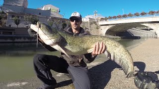 Street fishing Narbonne compètition sur le canal de la Robine  GoPro HD [upl. by Sanson892]